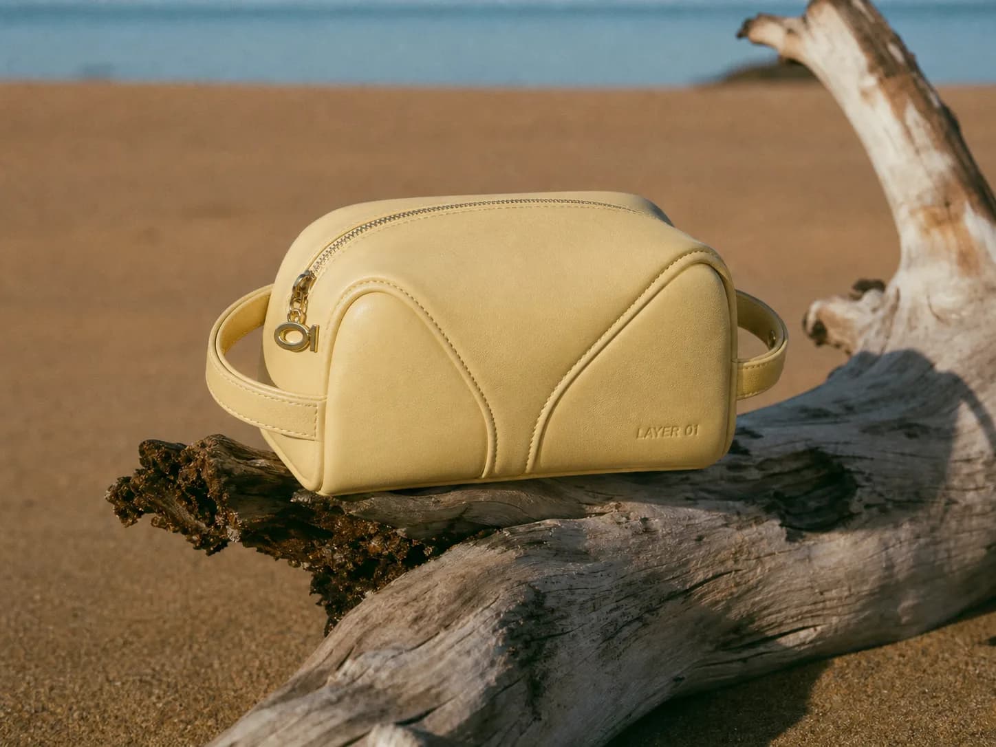 OBJECTS IN TRANSIT — SOLAR RIVIERA — 3