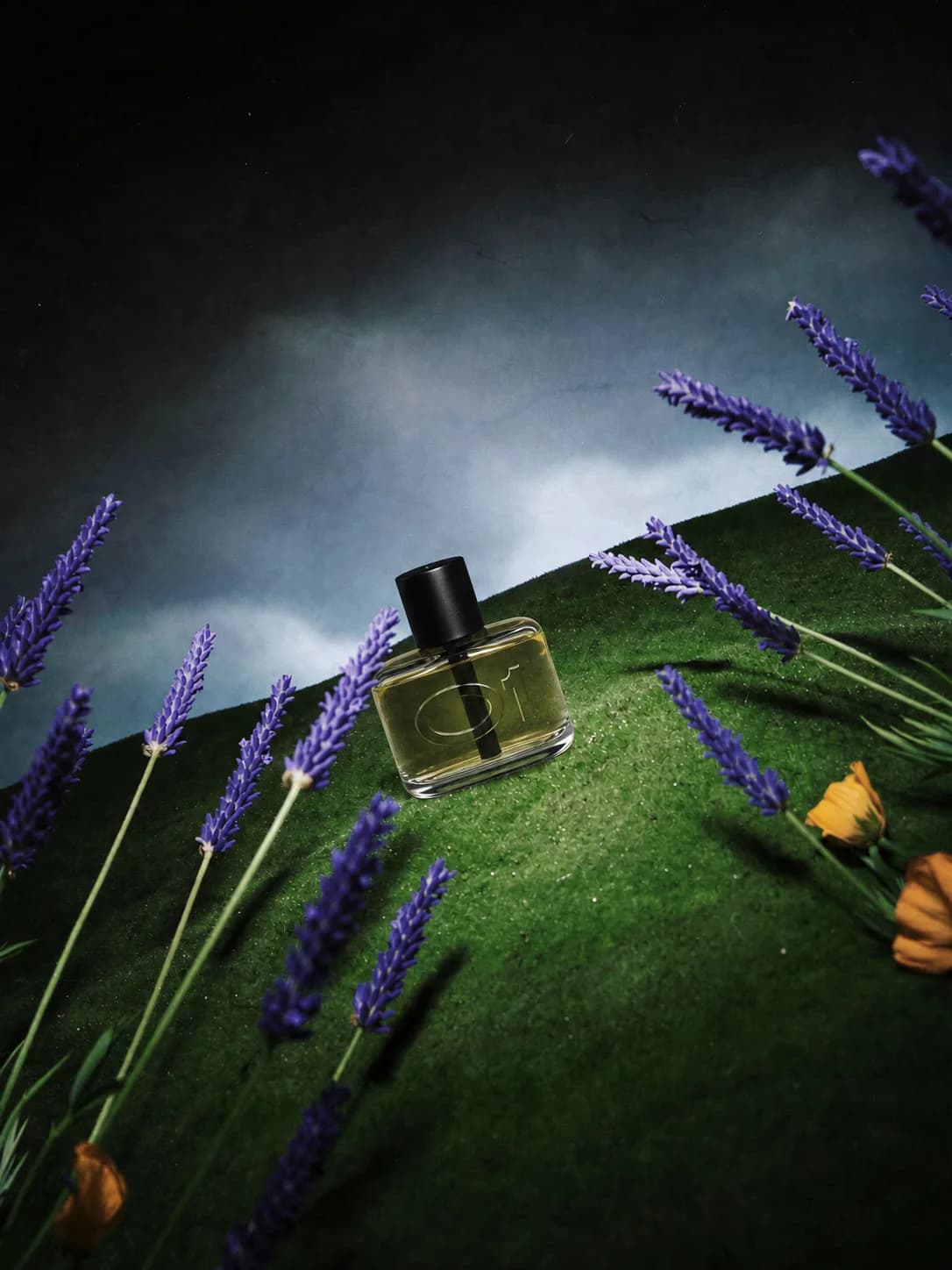 SCENT OBJECTS — NIGHT BOTANICALS — 1