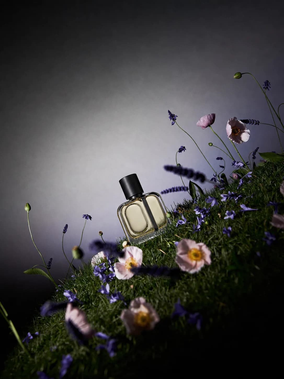 SCENT OBJECTS — NIGHT BOTANICALS — 2